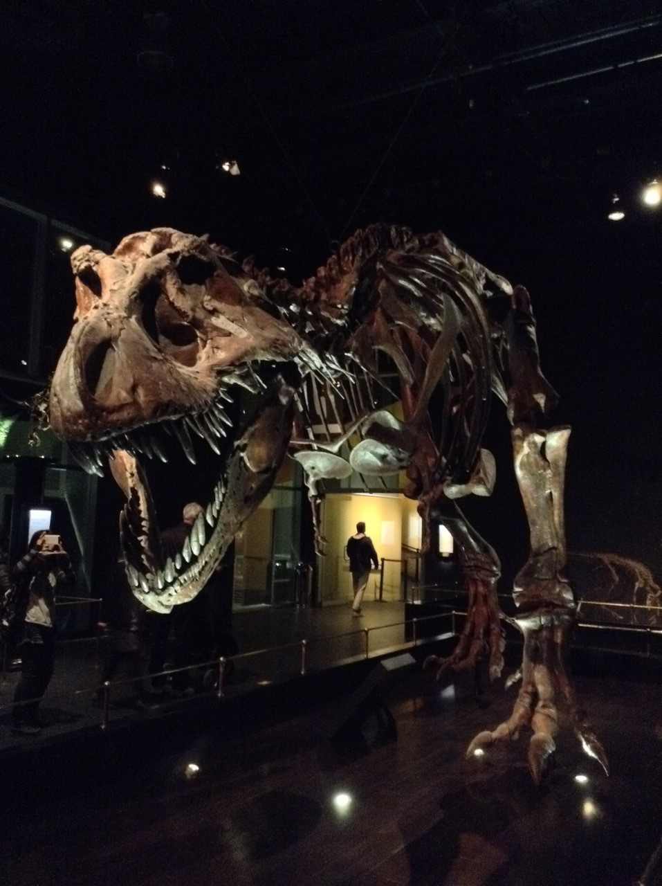 5 28 木 国際コース３年生がロイヤル ティレル古生物博物館へ 京都先端科学大学附属中学校