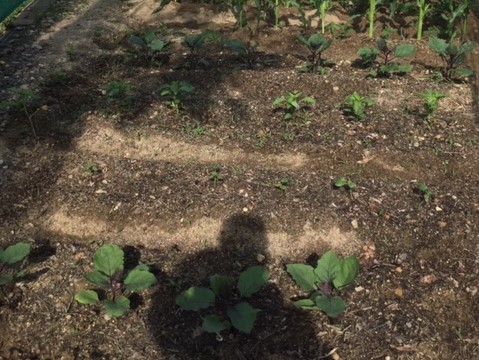image2 (2)