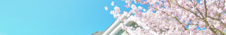 banner_single-1920x300